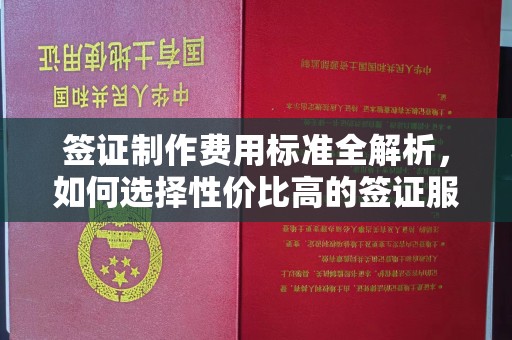藤县签证制作费用标准全解析，如何选择性价比高的签证服务？